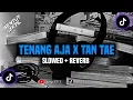 Download Lagu Dj Tenang Aja x Tan Tae (Slowed + Reverb)