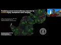 Predicting cancer immunotherapy response by CODEX highly multiplexed tumor imaging
