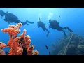 Scuba Diving Split with Open Sea Diving