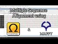 2 - Multiple DNA Sequence Alignment