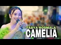 Download Lagu TASYA DISAWER DOLLAR !! TASYA ROSMALA - CAMELIA | LIVE PEMALANG TERBARU