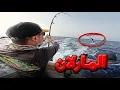 Download Lagu أدرينالين الموسم ⚡️ 30دقيقة من المتعة الخالصة 🎣 لا تفوتوا ثانية واحدة