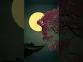 Download Lagu Bulan purnama yang indah di malam hari #shorts