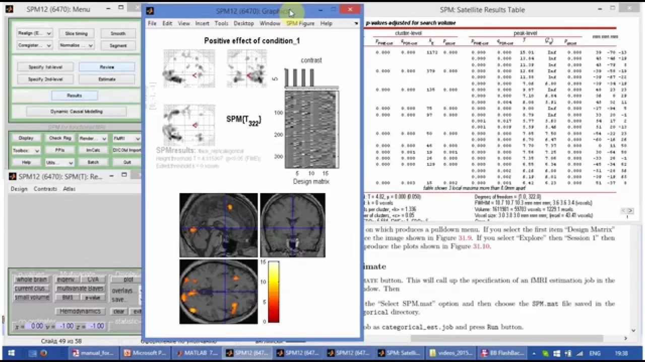 SPM12 (Kyiv 2015): day 2,  Part 8/8. Statistical Table, F contrasts, PSTH, Parametric modulation