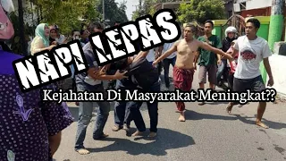 Download GUYONAN JOWO-eps-01 NAPI Bebas Masyarakat CEMAS-Sedulur Ndeso MP3