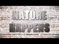 When Nature Happens CARSTAR St Louis Is There For You