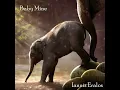 Baby Mine (From "Dumbo") (Piano Instrumental Version)