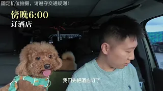 《上海−拉萨》出发! #vlog旅行记 #安静的布丁妹妹