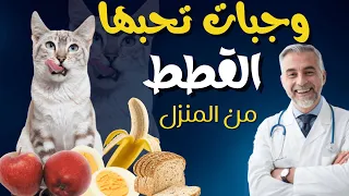 These Are 7 Meals That Cats Love Cat Food 