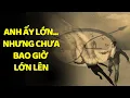 Download Lagu Carl Jung: Tại Sao Một Số Đàn Ông Mãi Không Trưởng Thành