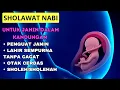 Download Lagu Agar Lahiran Normal dan Lancar, Sholawat Ibu Hamil, Sholawat Ibu Hamil Agar Bayi Sehat Sempurna *37