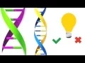 What is Genetic Engineering