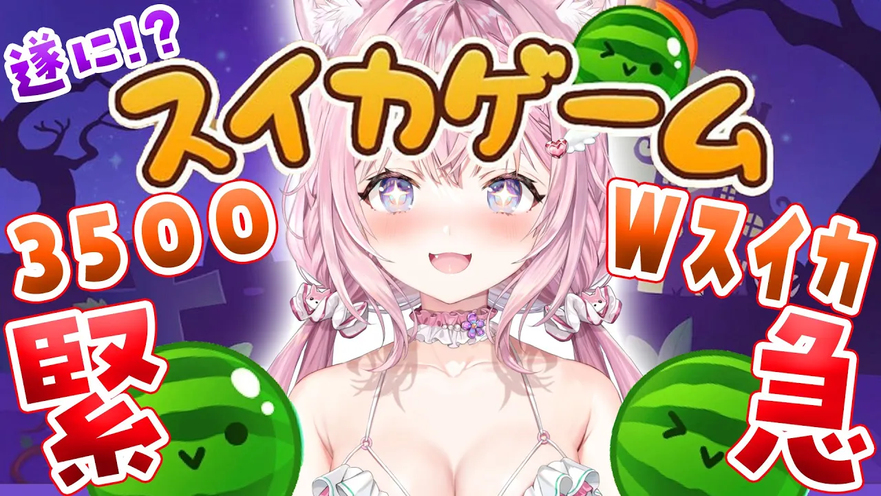 【スイカゲーム】緊急‼‼カボチャになってる⁉間に3500↑＆Wスイカなるか！？？？??【博衣こより/ホロライブ】