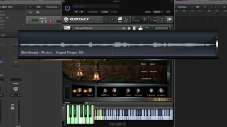 voices of ancient india loops u0026 samples dilruba shehnai raga violin bansuri female voice