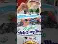 Organic Triple Berry Blend Townsend Farms Blackberry Strawberry Blueberry Smoothie Demonstration