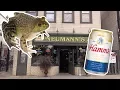Minnesota s Oldest Bar - Neumanns Bar in North St Paul Minnesota