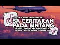 Lagu DJ JAUH KO PERGI | SA CERITAKAN PADA BINTANG BINTANG SLOW VIRAL TIKTOK FULL SONG MAMAN FVNDY 2026