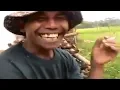 Download Lagu Slank - Pak Tani