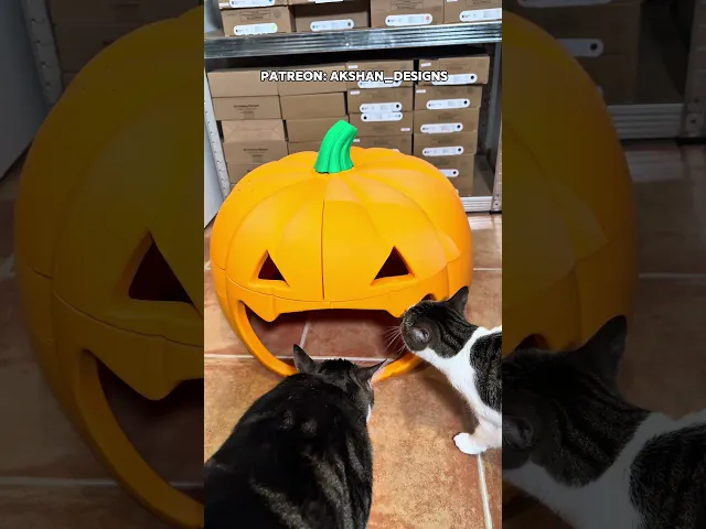 Pumpkin Pet Bed Gothic Home Decor Halloween Decor video thumbnail