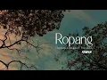 Lagu Ropang ( Roda Panguripan) Hiphop Dangdut Version
