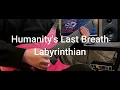 Humanity's Last Breath - Labyrinthian (Guitariffcover)