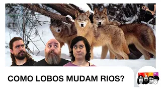 Como LOBOS MUDAM RIOS?