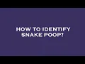 How to identify snake poop