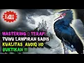 Download Lagu Tuwu Gacor Audio - Tembakan Lampiran Burung Tuwu Gacor Sadis