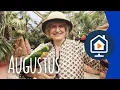 Download Lagu Het geheime dagboek van Hendrik Groen | Seizoen 1 Aflevering 8 | Augustus (S01A08)