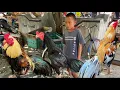 Download Lagu Sepecial pasar G4wok bosku dek Mikail bawa Kumbang Big Size