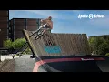 Portales New Mexico Action Sports Park