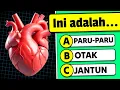 Download Lagu 🧠 Bisa Nggak Kamu Lulus Kuis Tubuh Manusia Ini? 🧍💪🧬 Kuis Pengetahuan Umum