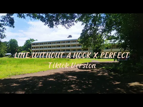 Download MP3 LINE WITHOUT A HOOK X PERFECT Tiktok Version - perfect version