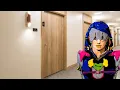 The JoJoLands Chapter 4 in a Nutshell