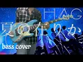 Download Lagu [Bass Cover | TAB] H△G - 夏の在りか ( Natsu no Arika / 여름의 존재 )