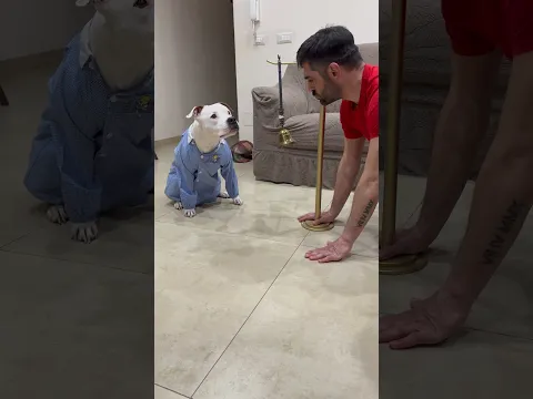Cosa ha fatto Gigante!! 🐶🧐 #dogs #gigante #smartdogs #smartdog #dogtraining