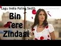 Download Lagu Lagu india bin tere zindagi