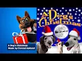Download Lagu A Dog's Christmas 🎁 Full Album - Christmas Dog Barking Holiday Bark Songs