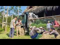 Download Lagu Preparing materials for the house foundation and the rice harvest_Ly Tieu Yen