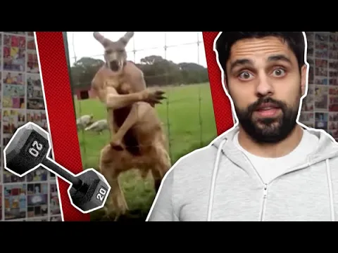 Video: Flexin' On Ya (2014)