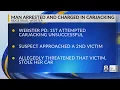 Webster police announce arrest in Ridge Road carjacking