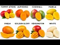 Every Mango Explained In 6 Minutes