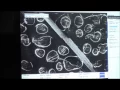 Remote Access EIU PennStateNACK Research Lab 7