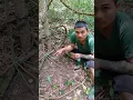 Download Lagu Survival trap fastest #trapperwild #trap #bushcraft