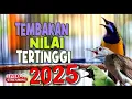 Lagu CUCAK CUNGKOK GACOR  DAN MASTERAN FULL TEMBAKAN NILAI TERTINGGI DI ARENA LOMBA