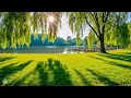 Beautiful Relaxing Music 🍀 Soothing sounds for deep relaxation, healing and peace