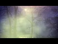 Sun Glitters - Insane (Official Video)