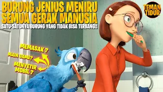 Download HANYA 1 DI DUNIA!! TIDAK BISA TERBANG TAPI OTAK JENIUS!! MP3