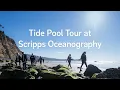 Tide Pool Tour at Scripps Oceanography