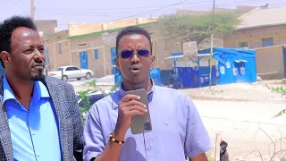 Cashuurta Haysta  hadi aan waxba loogu qabaneyn, Shirka Gabilay waanu taageerayn aUrurka AAYO-TALIS.